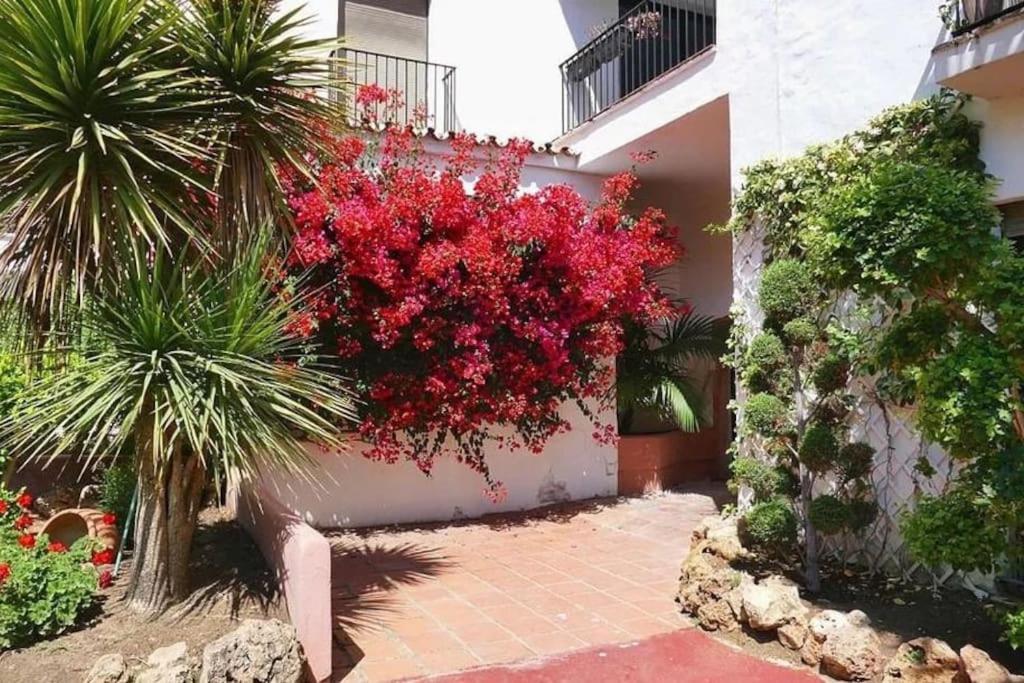 Caprichoso Apartamento En El Corazon De Puerto Banus Marbella Exteriör bild